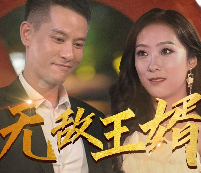 无敌王婿全集