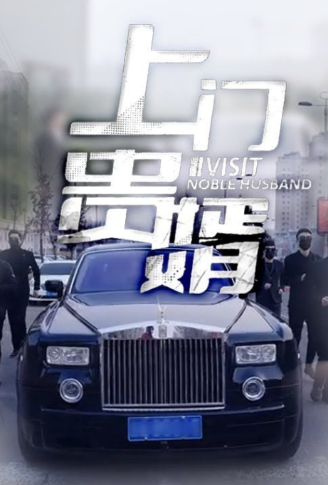 上门贵婿全集