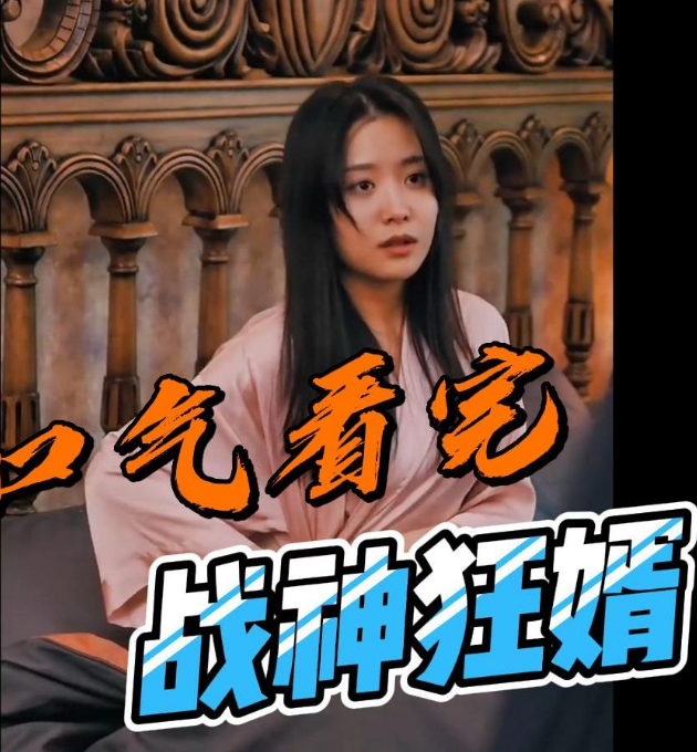 战神狂婿全集