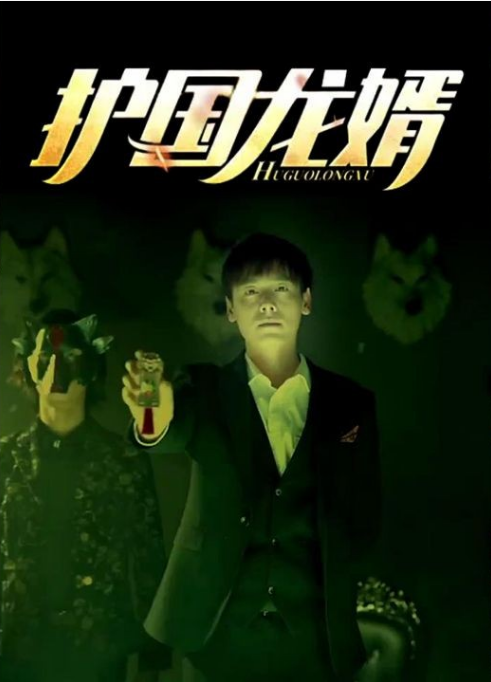 护国龙婿全集