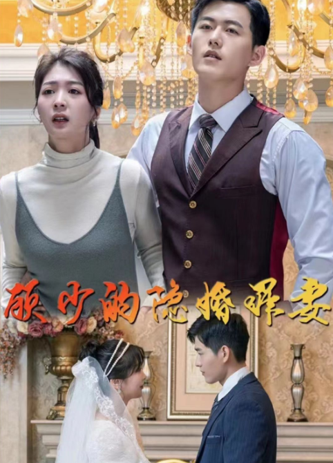 顾少的隐婚罪妻全集
