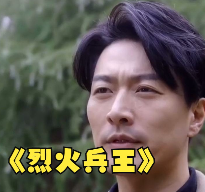 烈火兵王全集