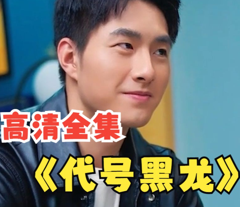 代号黑龙全集