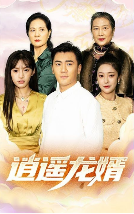 逍遥龙婿全集