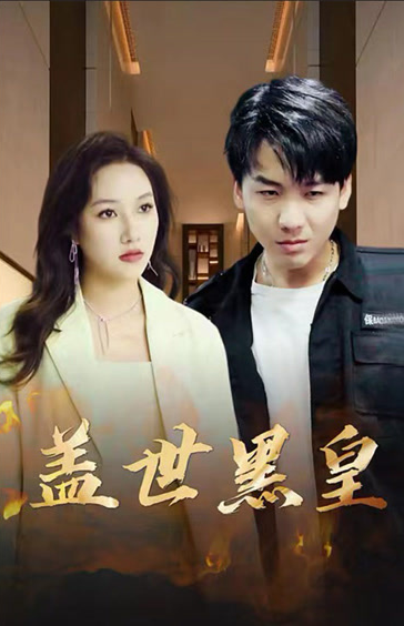盖世黑皇全集