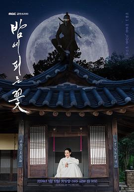 夜晚开的花全集