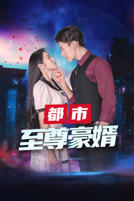 都市至尊豪婿全集