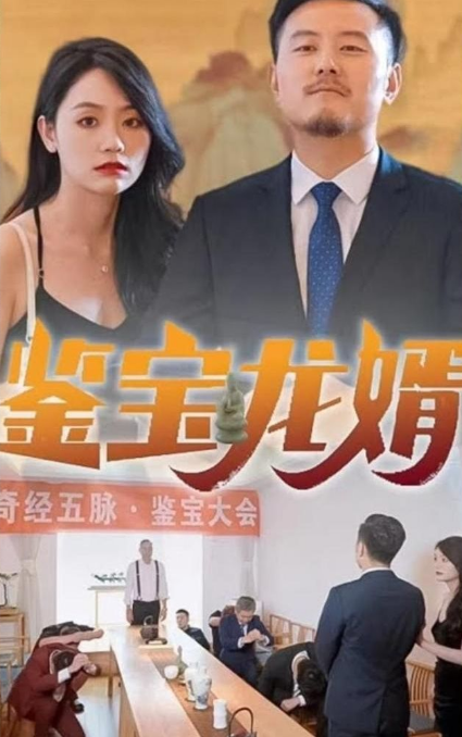 鉴宝龙婿全集