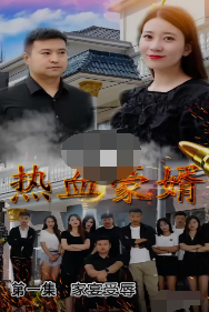 热血豪婿全集