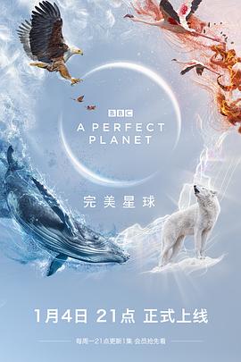 完美星球全集