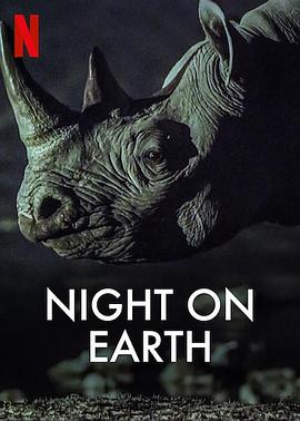 地球的夜晚全集