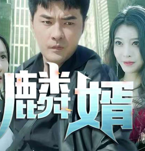 麟婿全集
