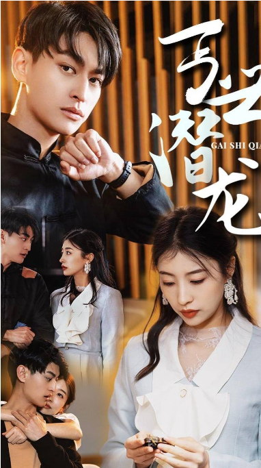 盖世潜龙全集