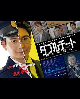 双面骗子虚假警察第一季全集