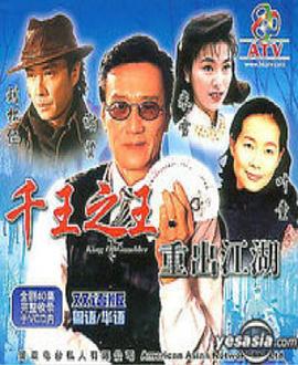 千王之王重出江湖国语全集