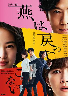 燕子不再归来全集