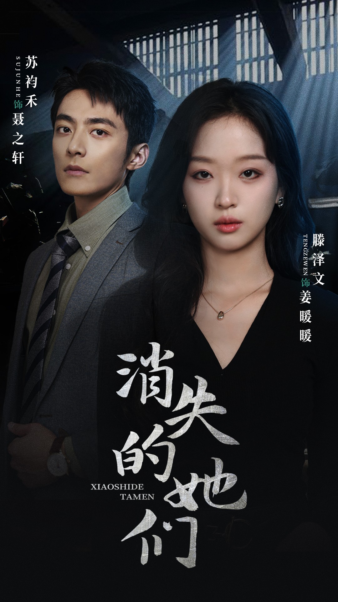 消失的她们全集