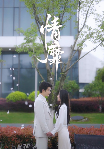 情靡全集