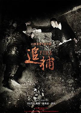 追捕2010全集