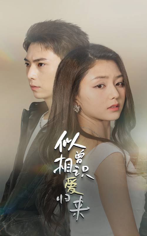 似曾相识爱归来全集