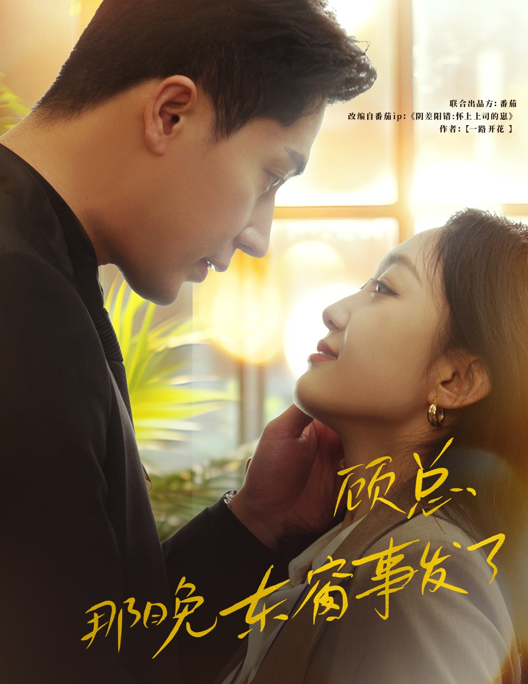 顾总，那晚东窗事发了全集