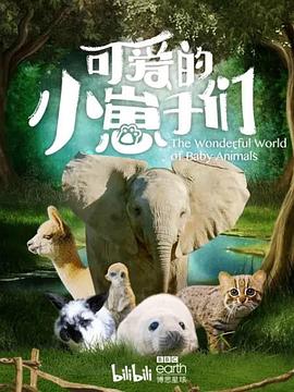 可爱的小崽子们全集