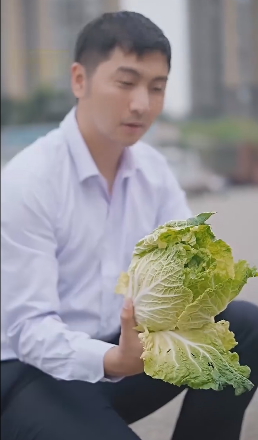 股王废婿全集