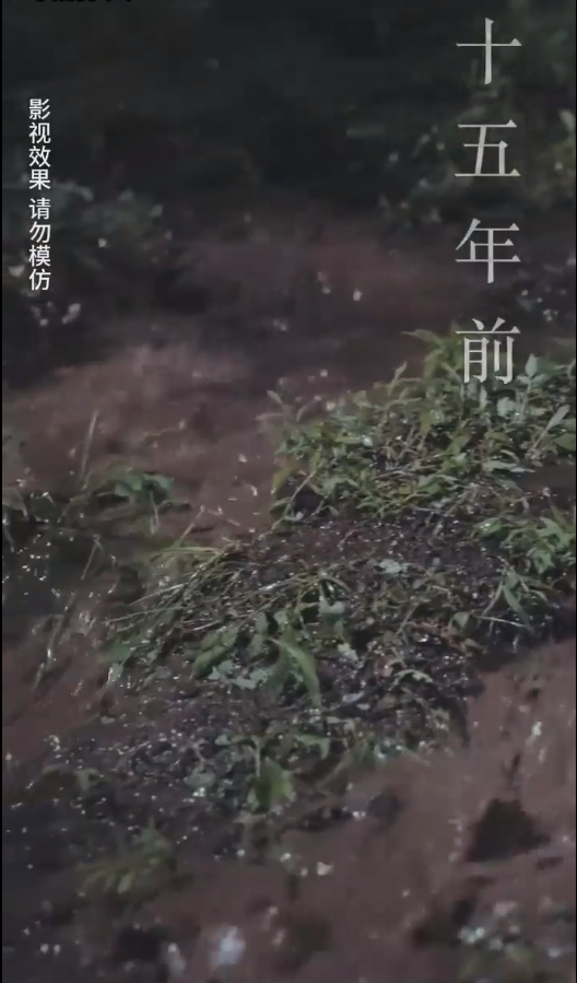 云深见朝阳全集