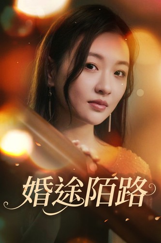 婚途陌路全集