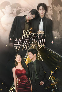 睡不着等你来哄全集