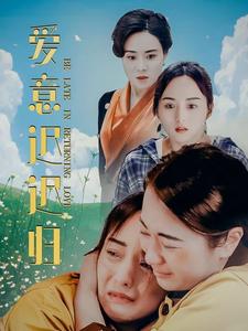 爱意迟迟归全集