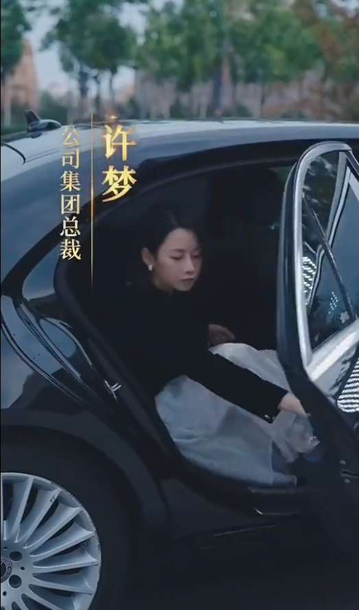 女老板的复仇全集
