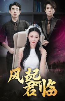 风起君临全集
