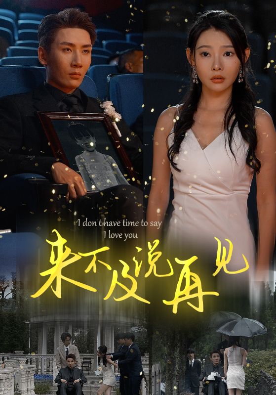 来不及说再见全集