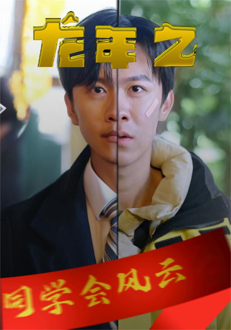 龙年之同学会风云全集