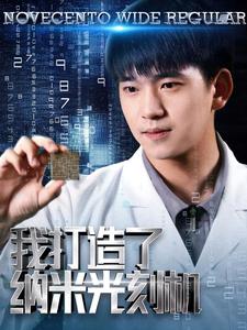 我打造了纳米光刻机全集