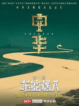 中华：龙的传人全集