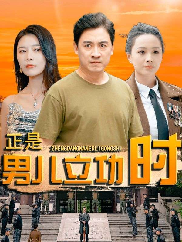 正是男儿立功时全集