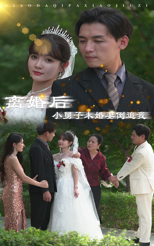 离婚后，小舅子未婚妻倒追我全集
