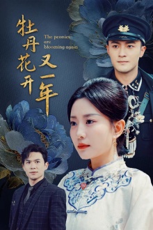 牡丹花开又一年全集