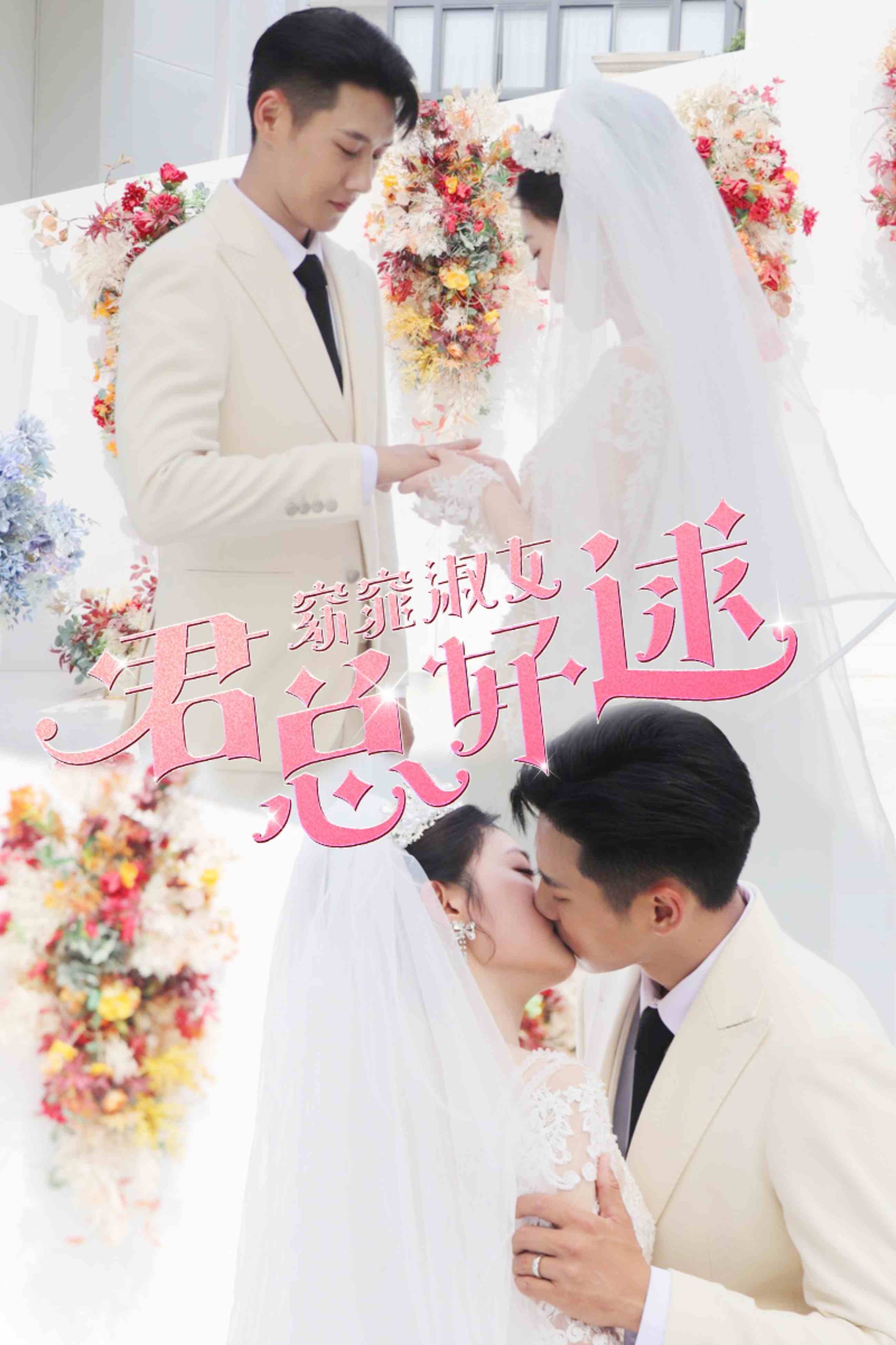 窈窕淑女君总好逑全集