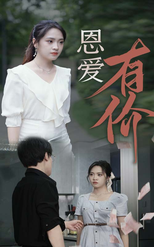 恩爱有价全集