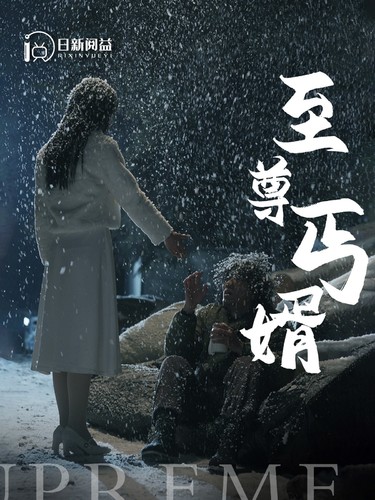 至尊丐婿全集