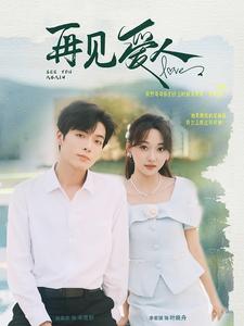 再见爱人全集