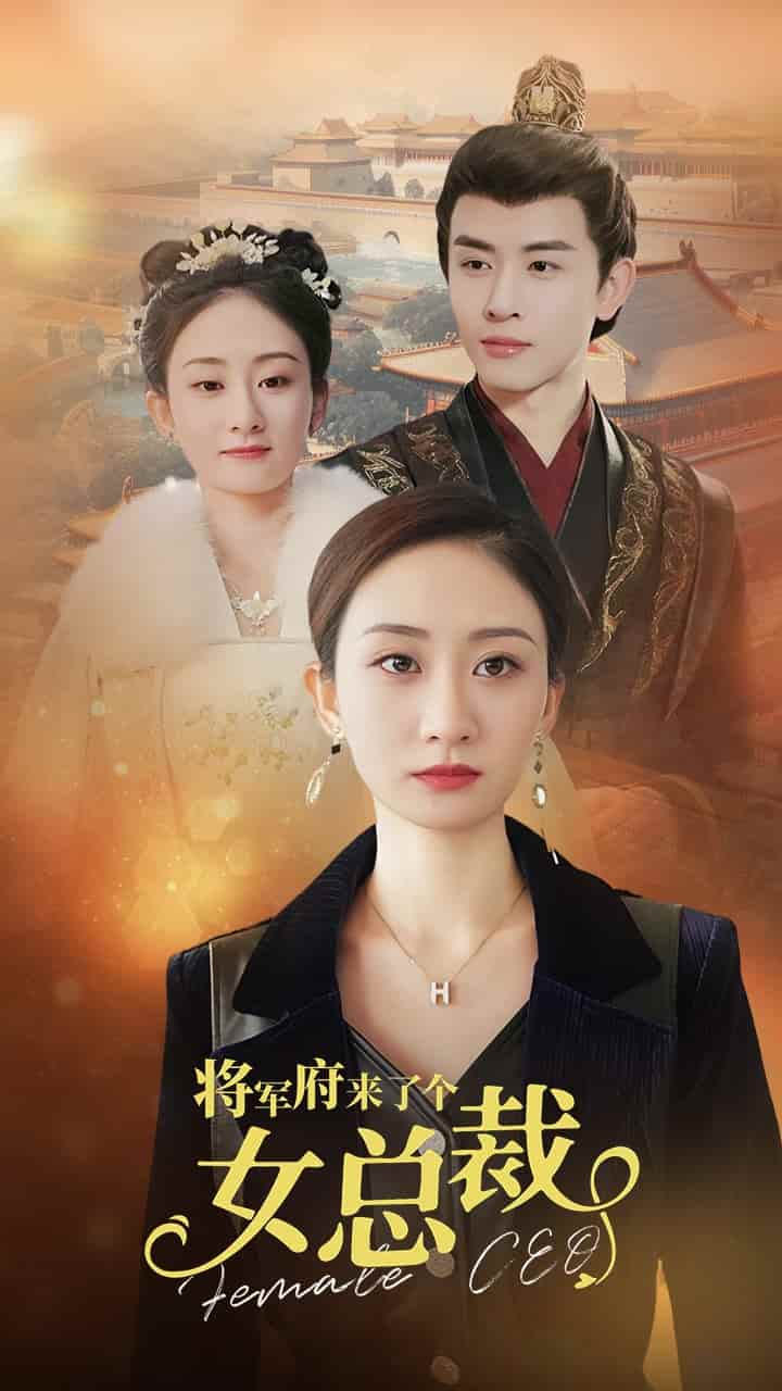 将军府来了个女总裁全集