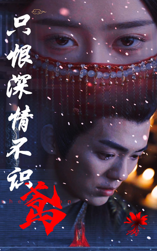 只恨深情不识鸢全集