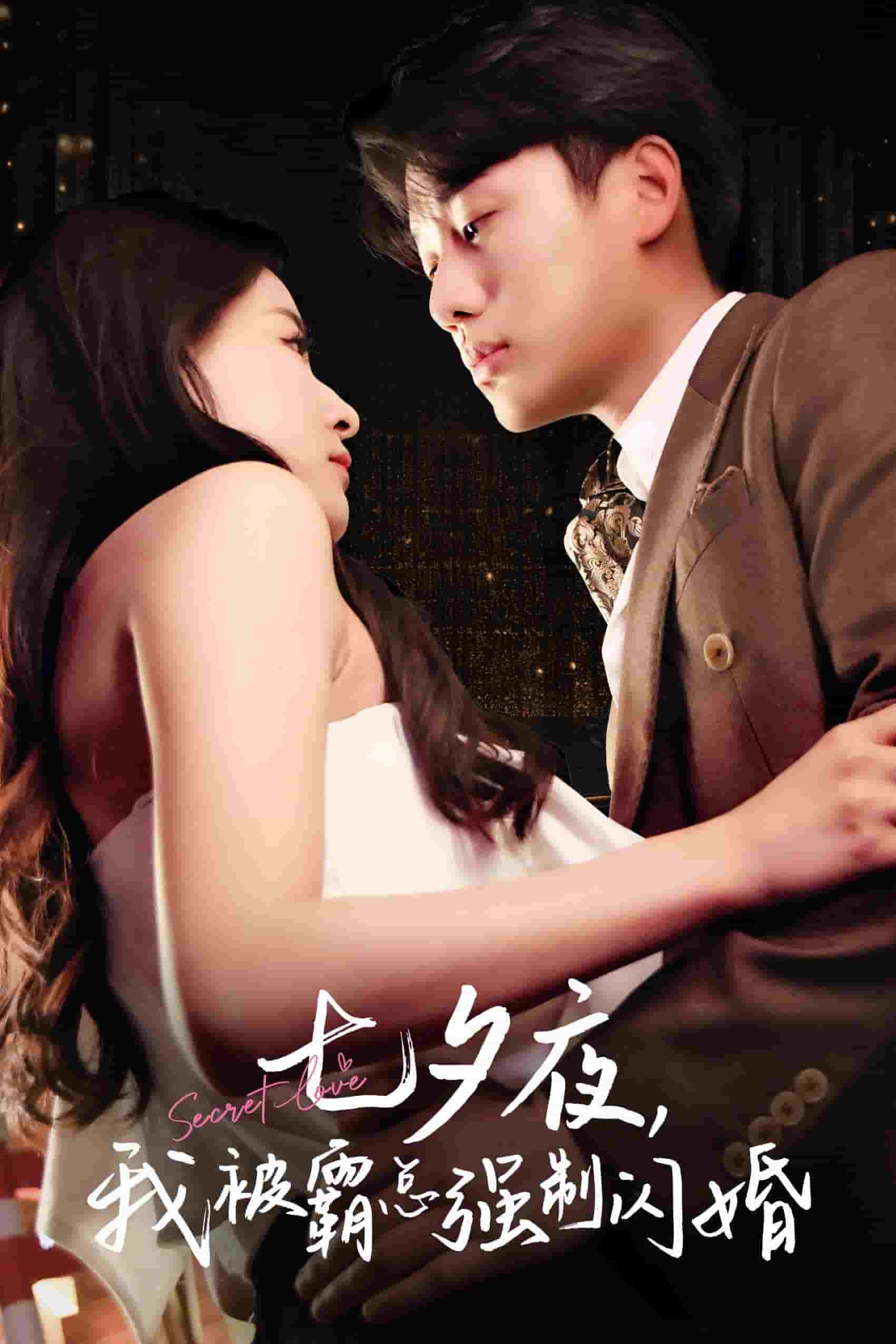 七夕夜我被霸总强制闪婚全集