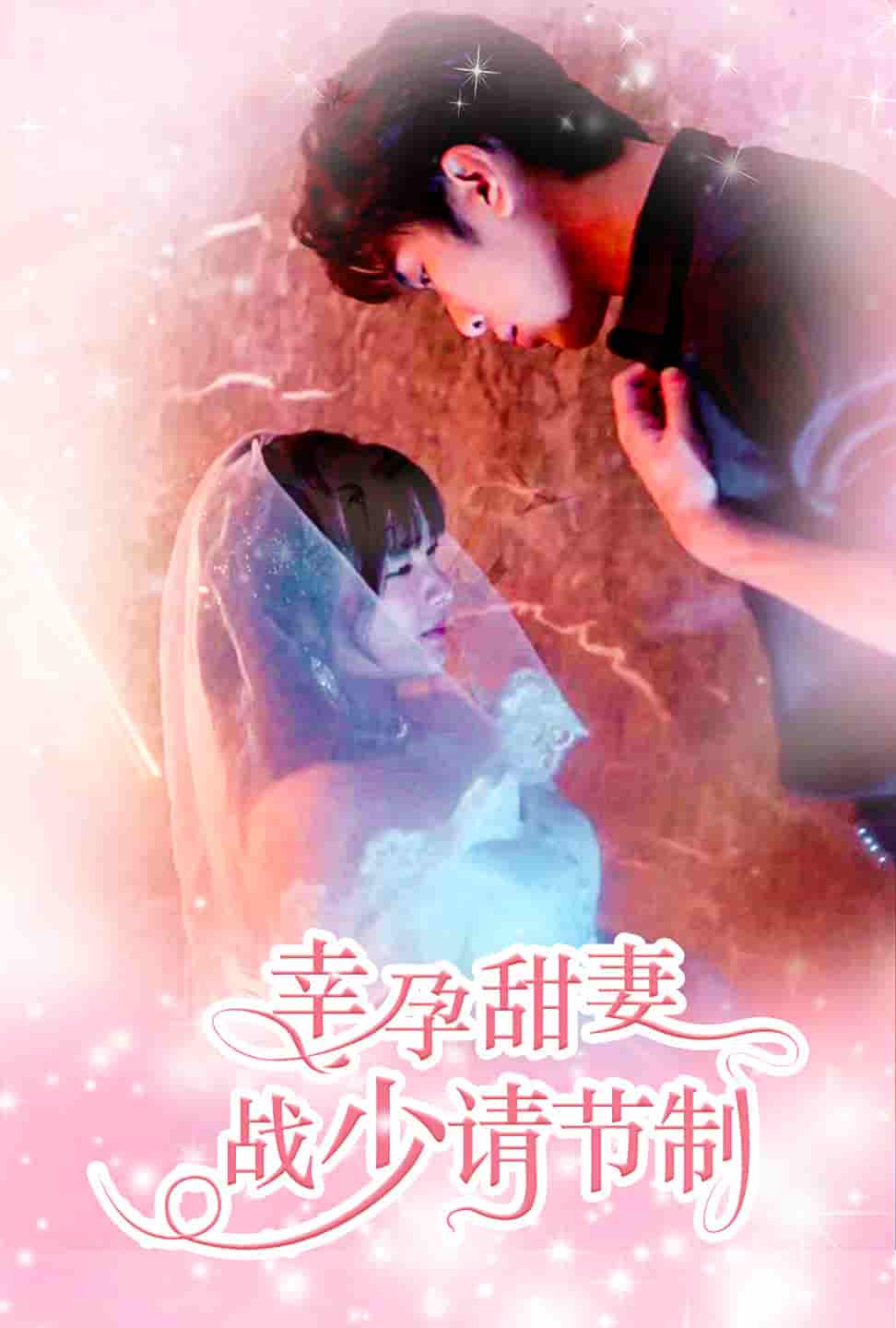 幸孕甜妻战少请节制全集