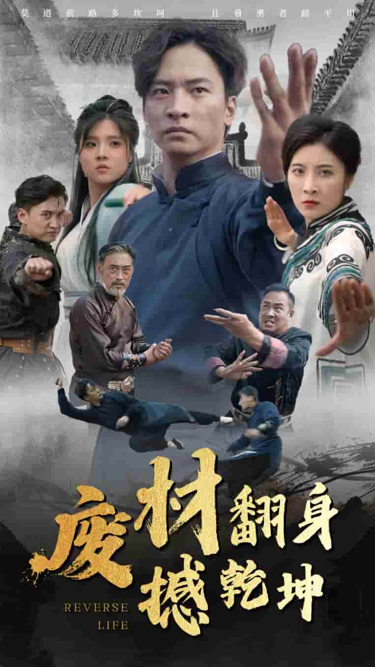 废材翻身撼乾坤全集