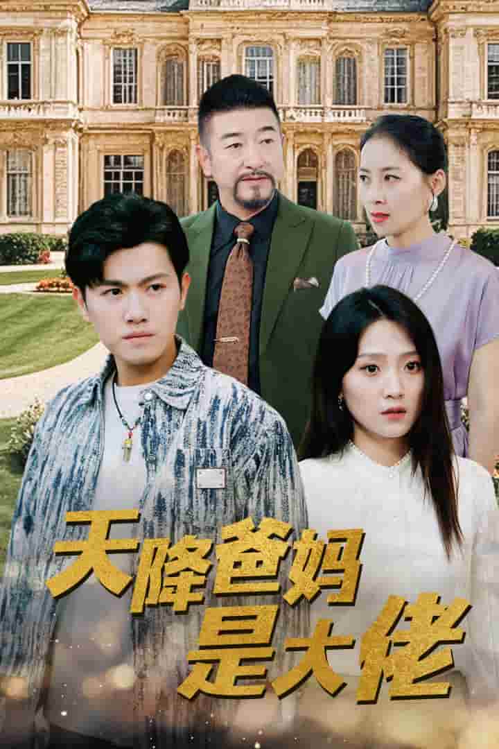 天降爸妈是大佬全集